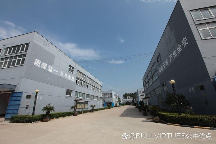 省丽水市青田县温溪镇成立的公司,公司的经营范围广泛,包括鞋帽批发